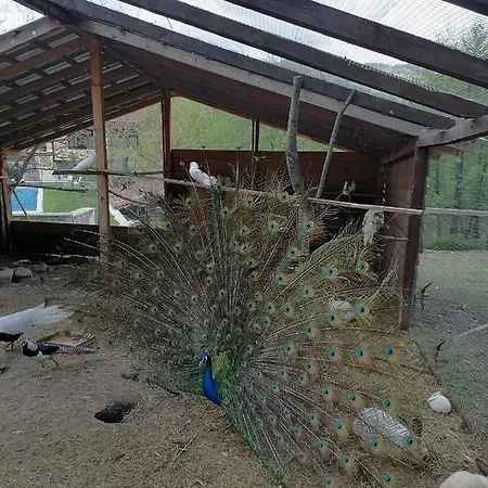 克里苏拉生态酒店