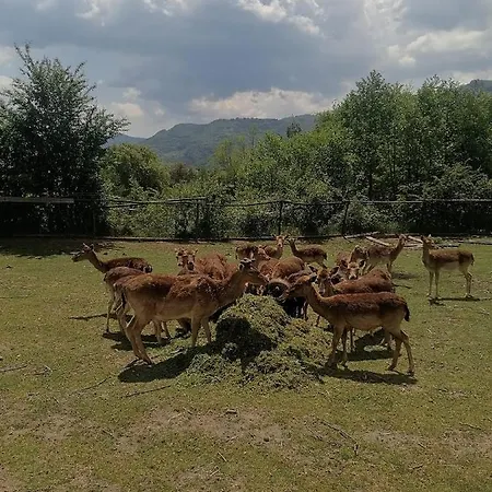 Resort Eco Klisura 2*