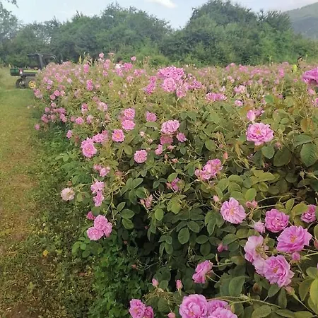 Eco Klisura Resort 2*