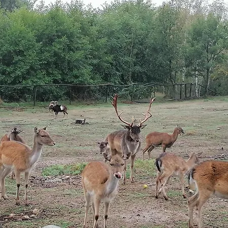 Eco Klisura Resort 2*