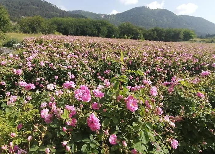 Eco Klisura リゾート