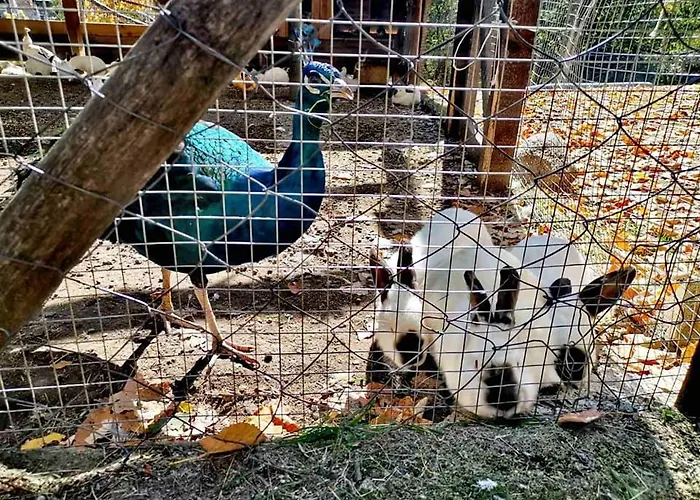 Eco Klisura 2* Klisura