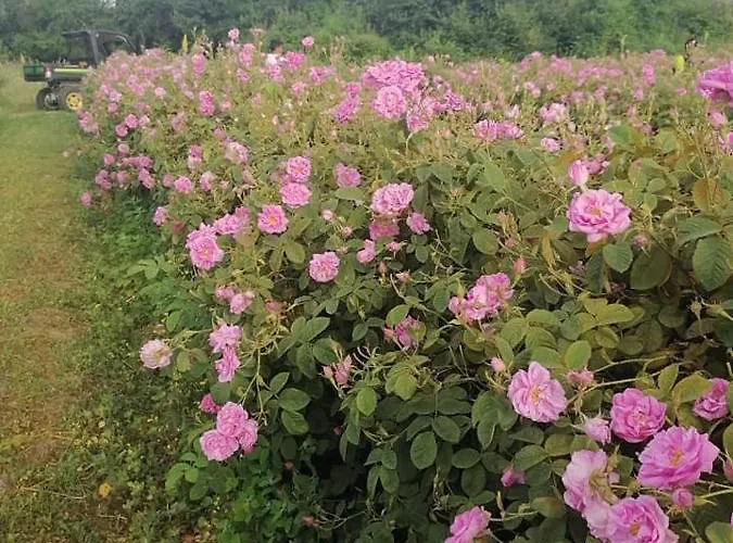 Eco Klisura リゾート 2*