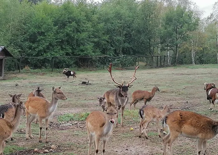 Eco Klisura リゾート 2*