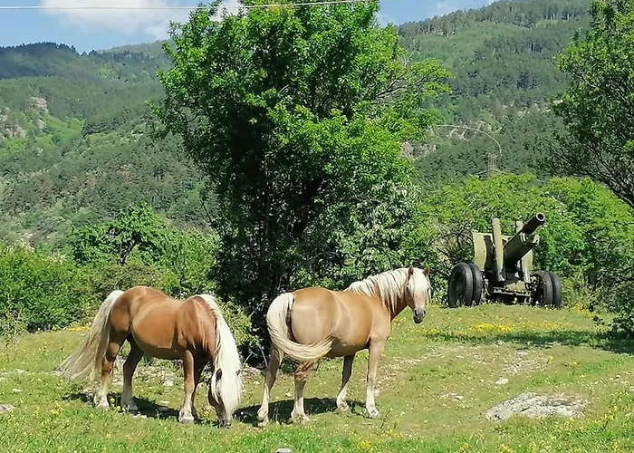 リゾート Eco Klisura 2*